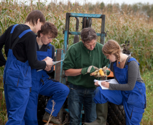 formation agriculture