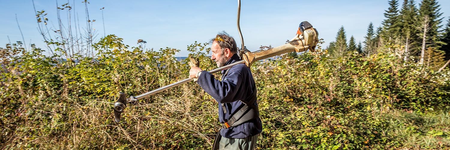 Technicien de maintenance en scierie