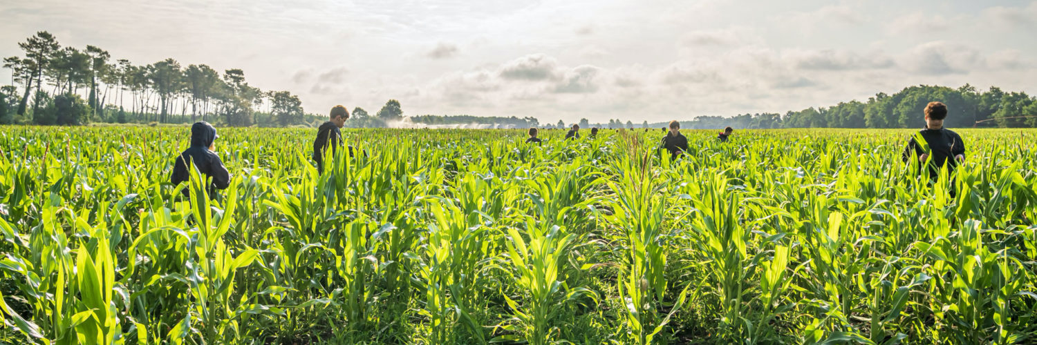 Anefa - Association Nationale Emploi Formation Agriculture