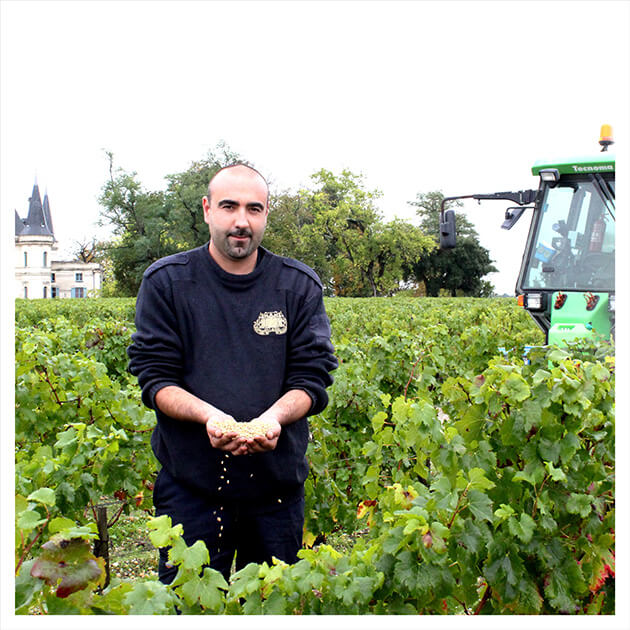 Témoignage agent tractoriste en viticulture