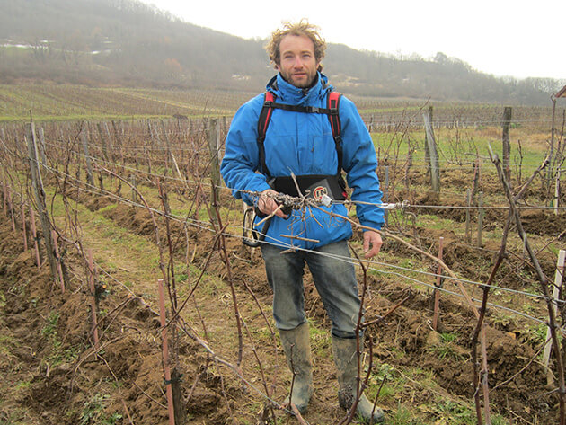 Témoignage agent viticole