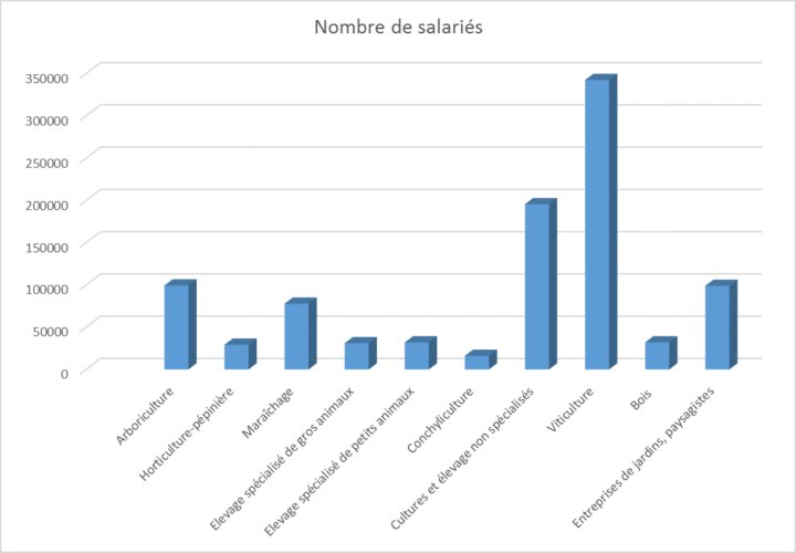 Graphique sur les secteurs qui recrutent le plus