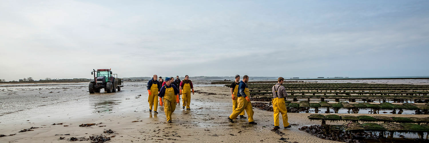 Métiers aquaculture