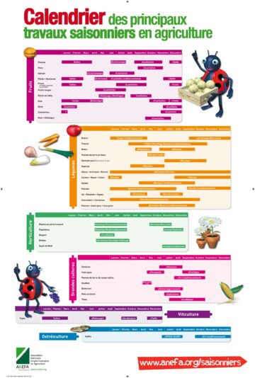 Image du calendrier saisonnier