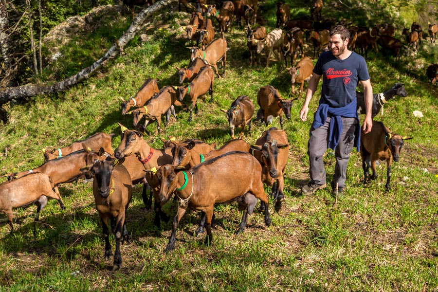 Emploi Saisonnier Cueillette Nord Pas De Calais