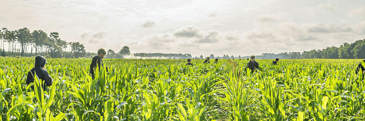 Anefa - Association Nationale Emploi Formation Agriculture