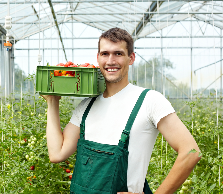 reconversion professionnel ANEFA