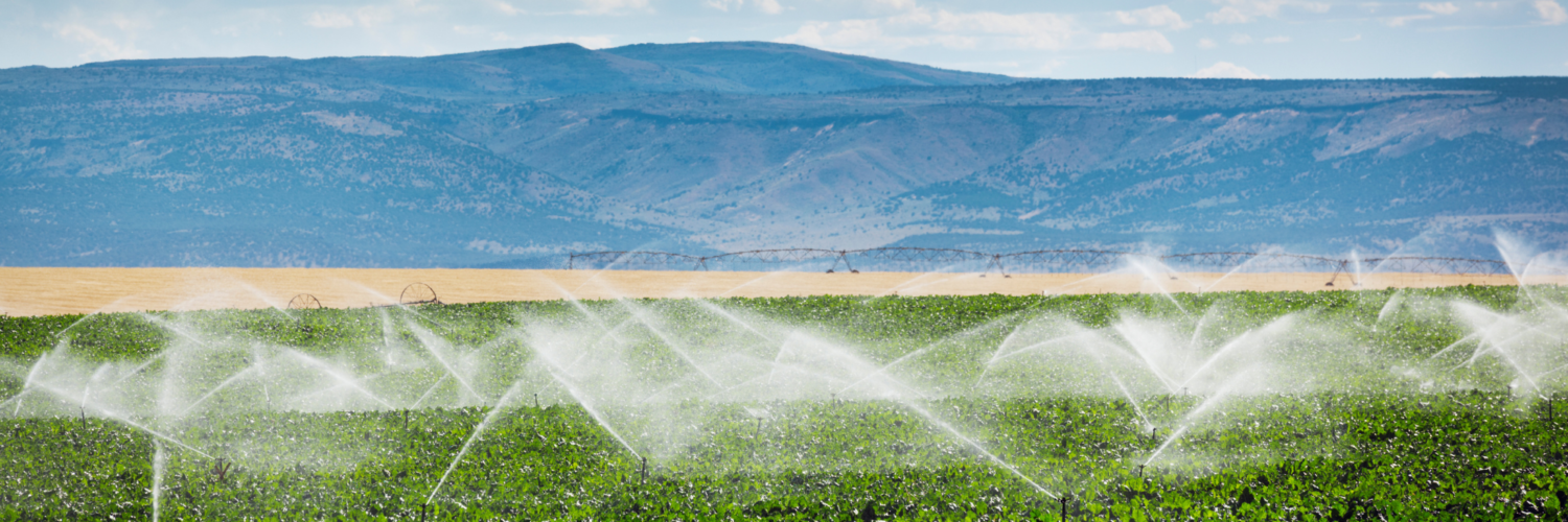 Consommation eau en agriculture