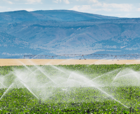 Consommation eau en agriculture