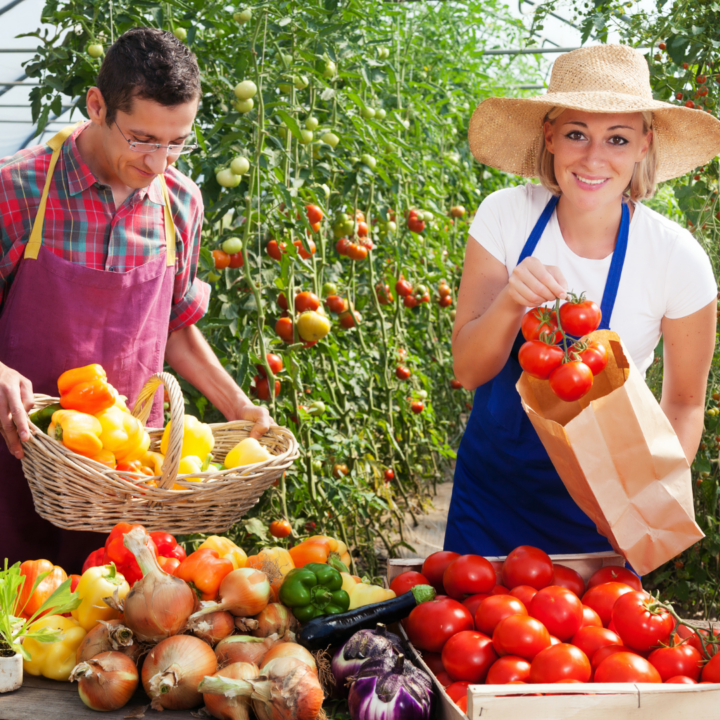 reconversion dans les métiers de l'agriculture 