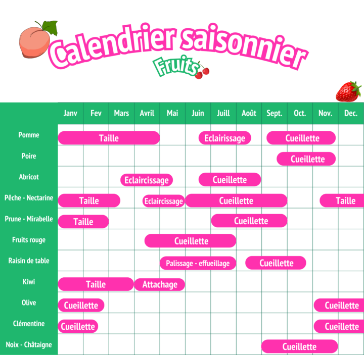 Calendrier saisonnier - fruits
