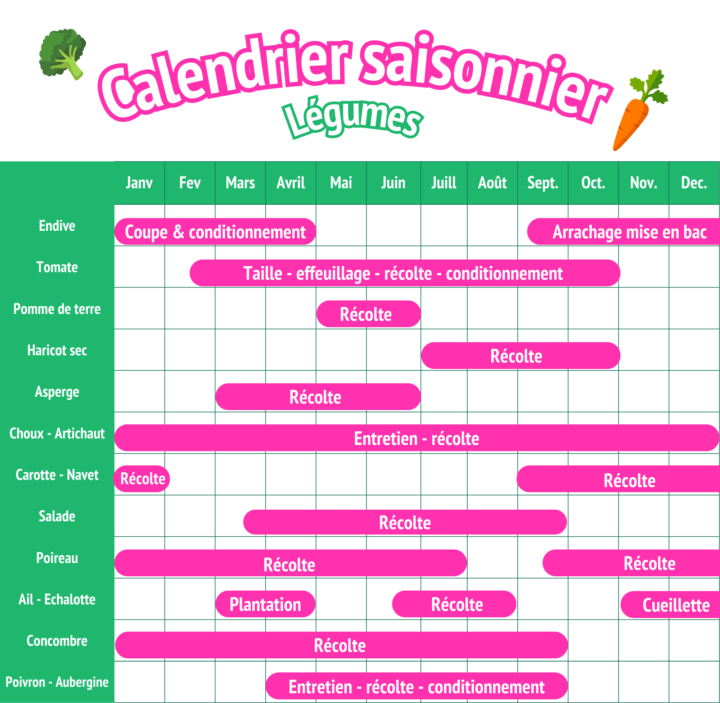 Calendrier saisonnier - légume