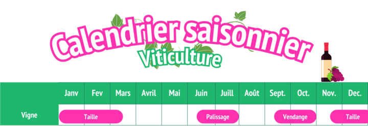 Calendrier saisonnier - viticulture