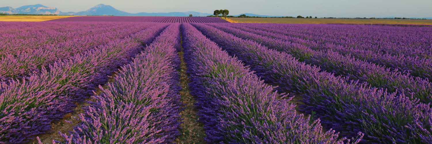 agriculture patrimoine français