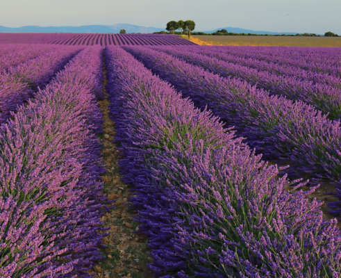 agriculture patrimoine français