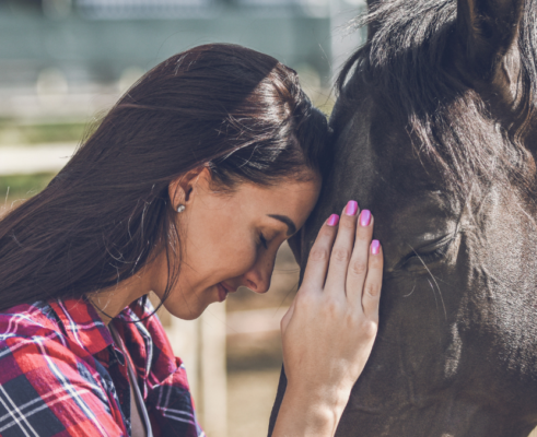 bien etre animaux