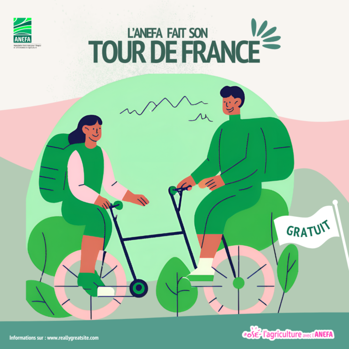 tour de france 2024