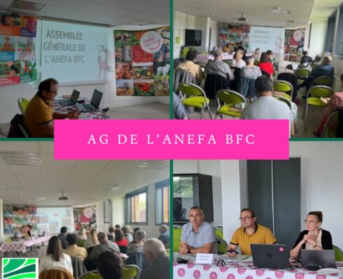 Mardi 21 mai 2024 : retour sur l'Assemblée générale ordinaire de l'ANEFA Bourgogne-Franche-Comté à Bretenière (21)