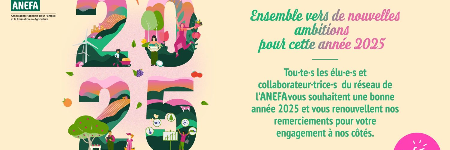 L'équipe de l'ANEFA Hautes-Pyrénées vous souhaite une bonne année 2025 !