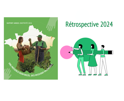 Rapport d'activités 2024