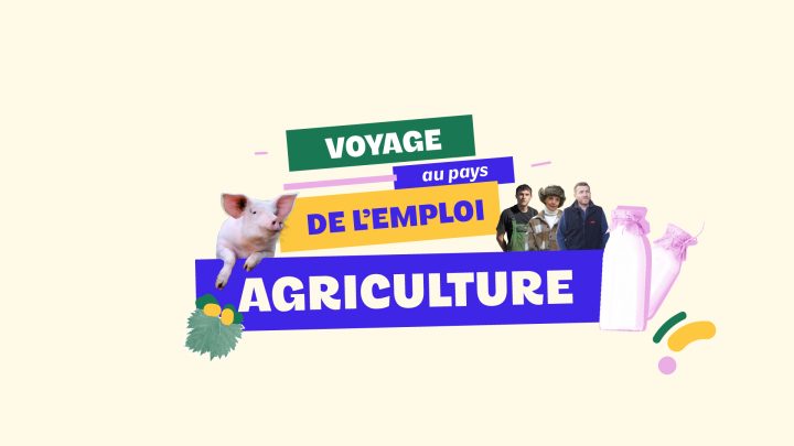 Nouvelle vidéo à découvrir et à partager : voyage au pays de l'emploi en Agriculture