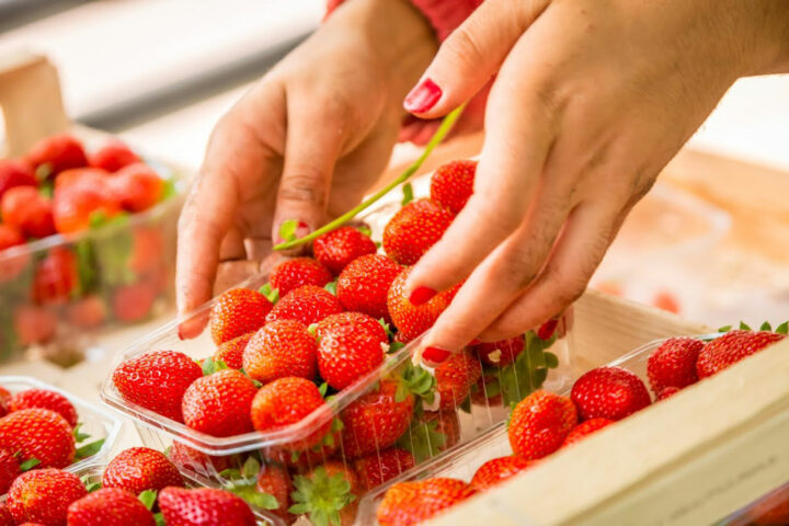 Maraîchage : mise des fraises en barquettes