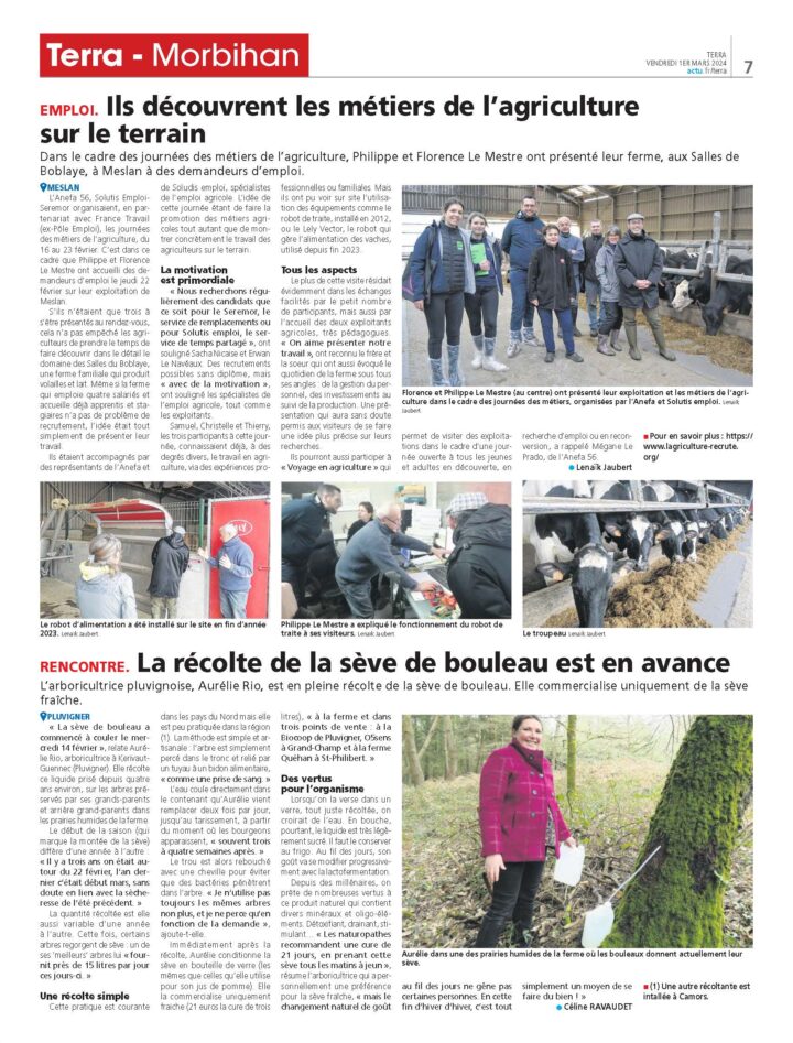 terra-Morbihan article