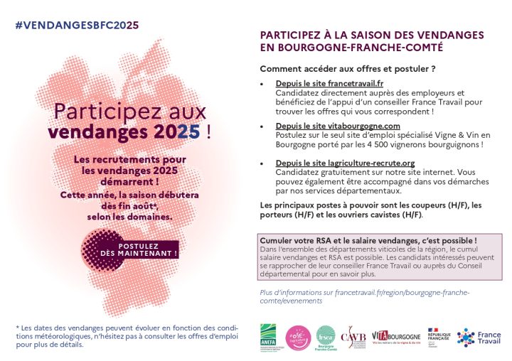 Comment participer aux vendanges en Bourgogne Franche-Comté ?