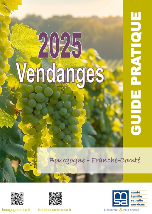 Guide pratique vendanges 2025