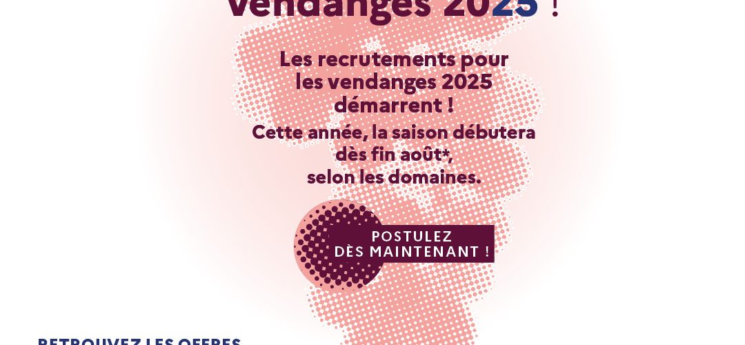 Comment participer aux vendanges en Bourgogne Franche-Comté ?
