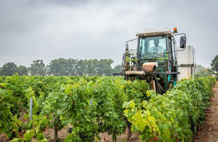 Auvergne Rhône Alpes Viticulture