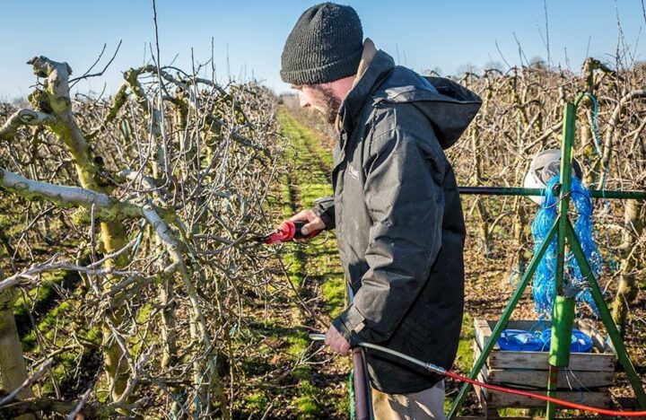 Gard Arboriculture