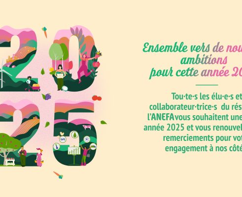 L'équipe de l'ANEFA Hautes-Pyrénées vous souhaite une bonne année 2025 !