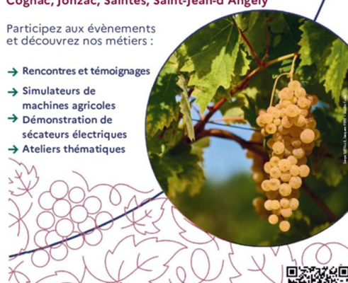 L’ANEFA Charente a participé à la journée du 31 mars à la Maison de la Vigne, dans le cadre de la Semaine Viticole. Collégiens et demandeurs d’emploi ont pu découvrir les métiers de la filière et ses opportunités. Au programme : échanges, animations et présentation des besoins en recrutement. Une action concrète pour promouvoir les métiers viticoles et susciter des vocations.