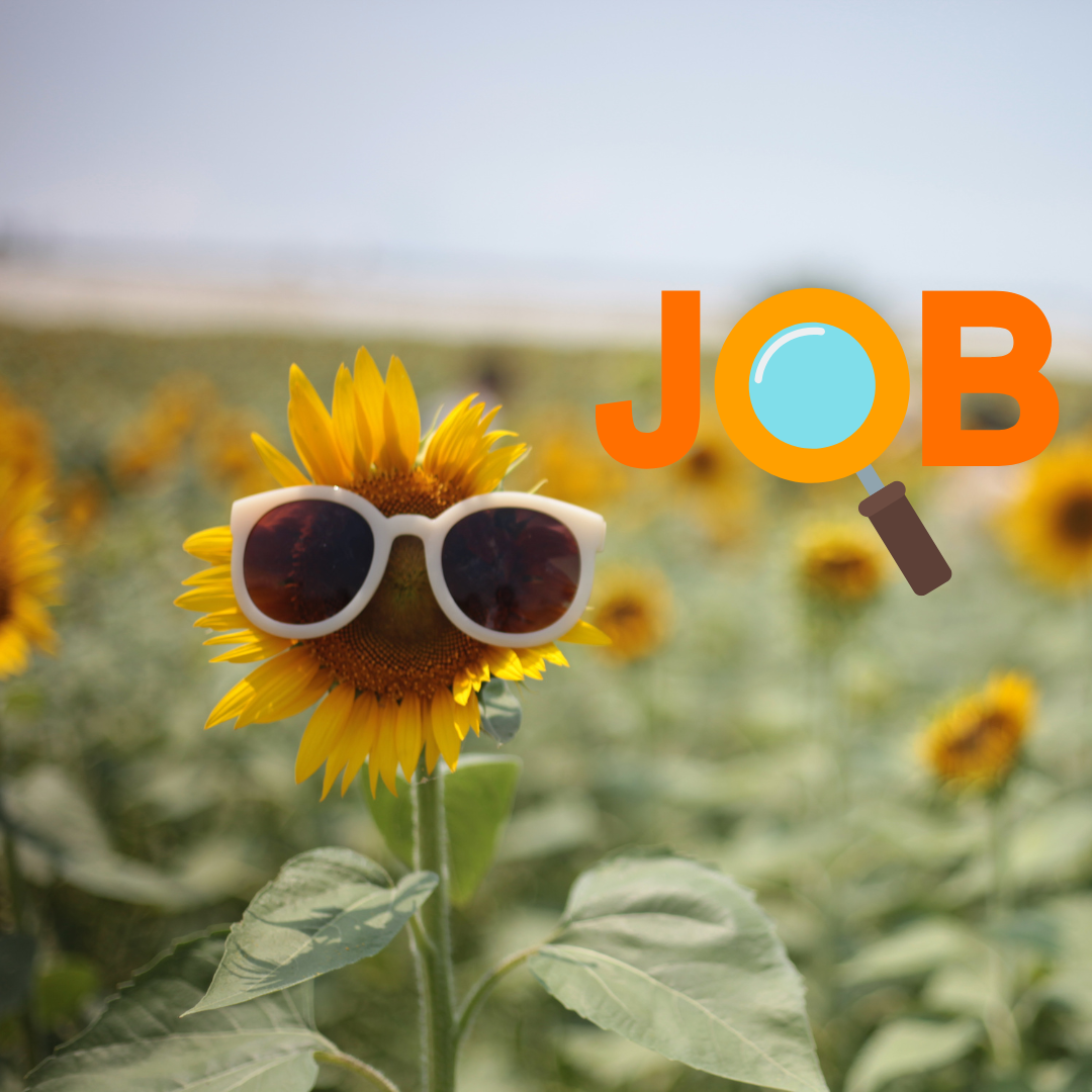 Job d'été