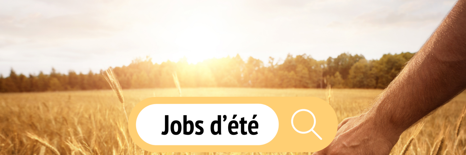 Jobs d'été