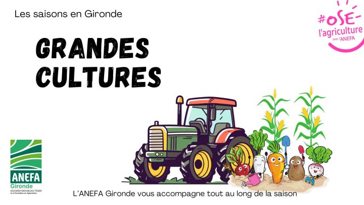 Être saisonnier en Gironde en Grandes Cultures