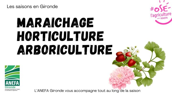 Être saisonnier en Gironde en Maraichage, horticulture et arboriculture