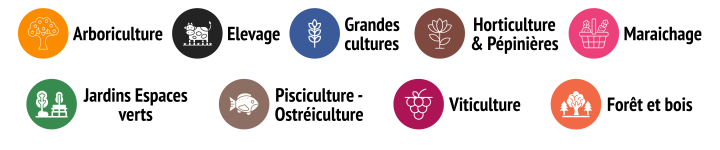 Différentes filières agricole pour votre projet professionnel