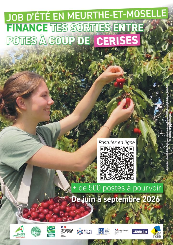 Affiche jobs saisonniers Meurthe-et-Moselle